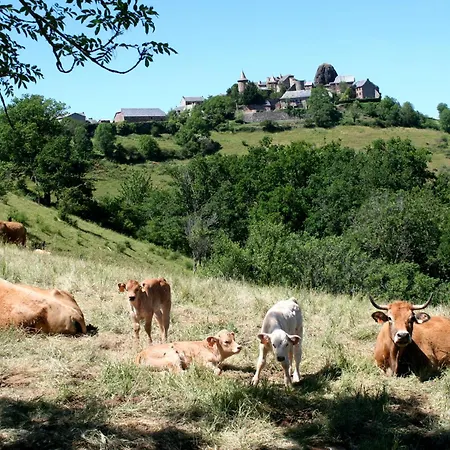 Penzion La Vieille 2*